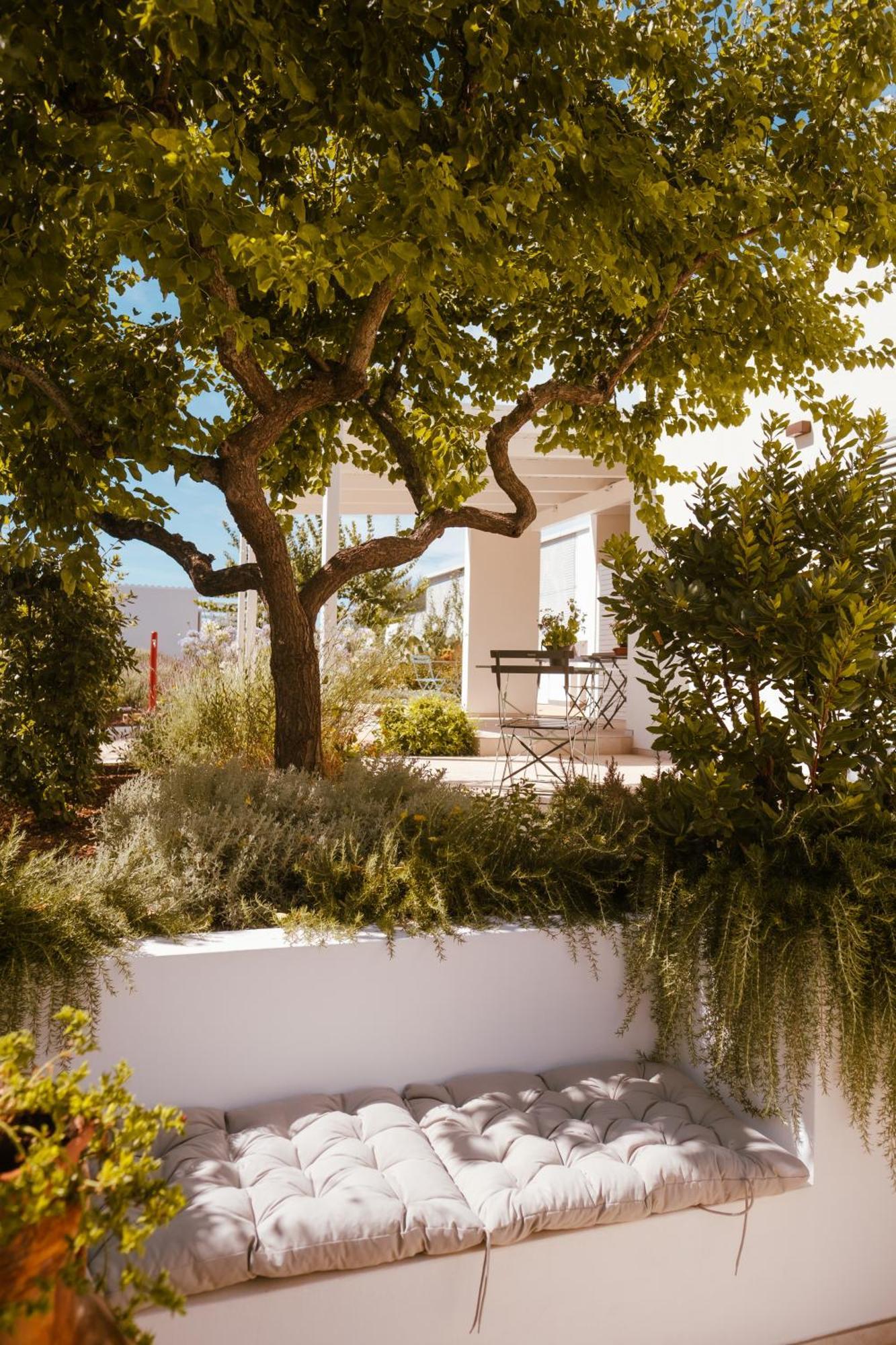 Iconica Luxury Frühstückspension Alberobello